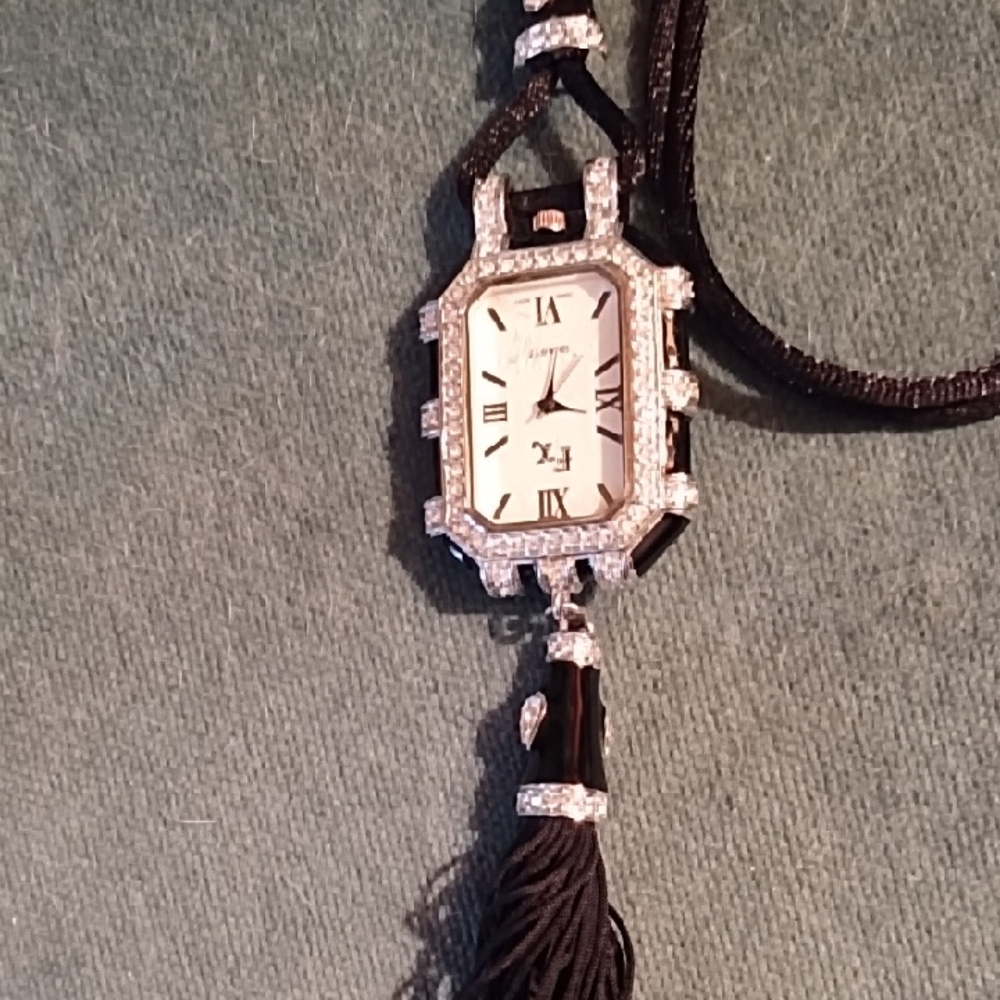 Frank Xavier Watch    EUC